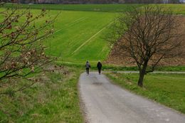 Waldspaziergang walk and talk